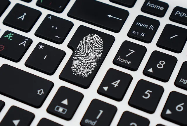 miData Experience: a new relationship with data part one